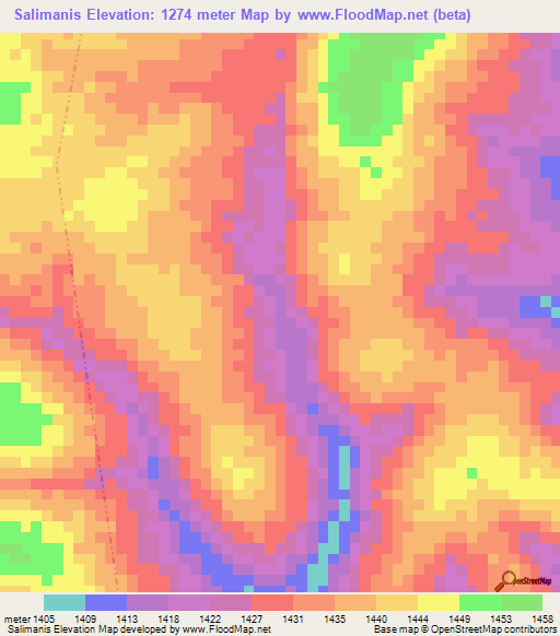 Salimanis,Tanzania Elevation Map