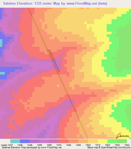 Salehes,Tanzania Elevation Map