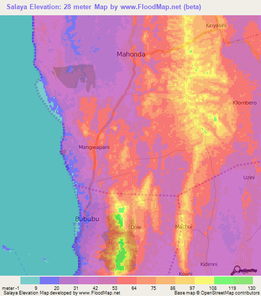 Salaya,Tanzania Elevation Map