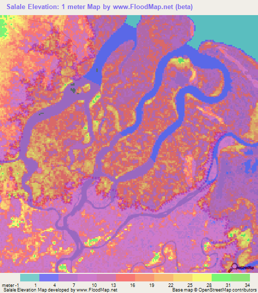 Salale,Tanzania Elevation Map