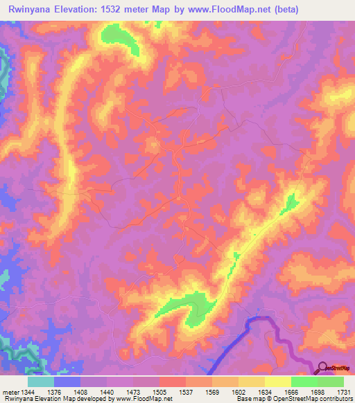 Rwinyana,Tanzania Elevation Map