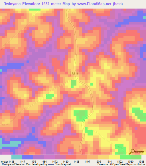 Rwinyana,Tanzania Elevation Map