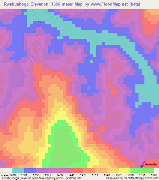 Rwabushoga,Tanzania Elevation Map