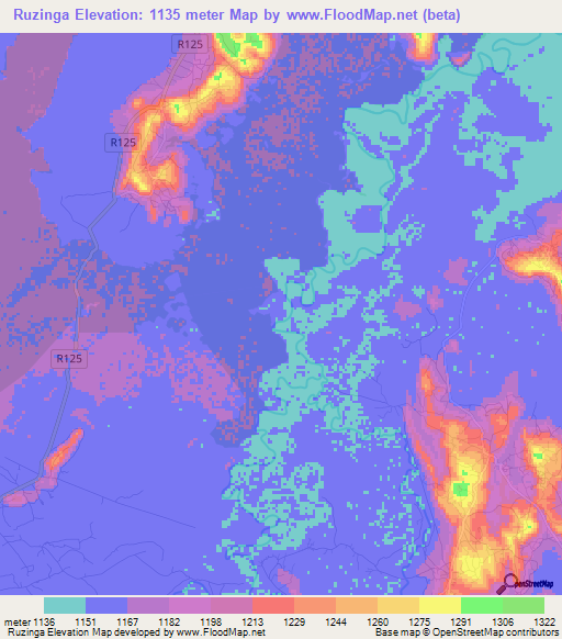 Ruzinga,Tanzania Elevation Map