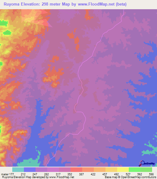 Ruyoma,Tanzania Elevation Map