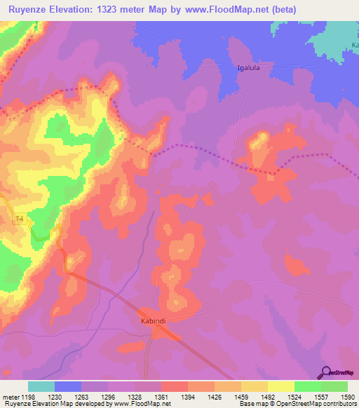 Ruyenze,Tanzania Elevation Map