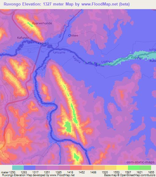 Ruvongo,Tanzania Elevation Map