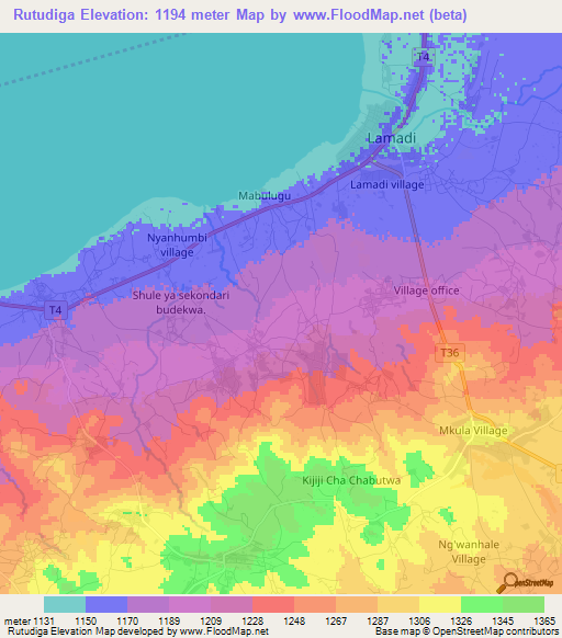 Rutudiga,Tanzania Elevation Map