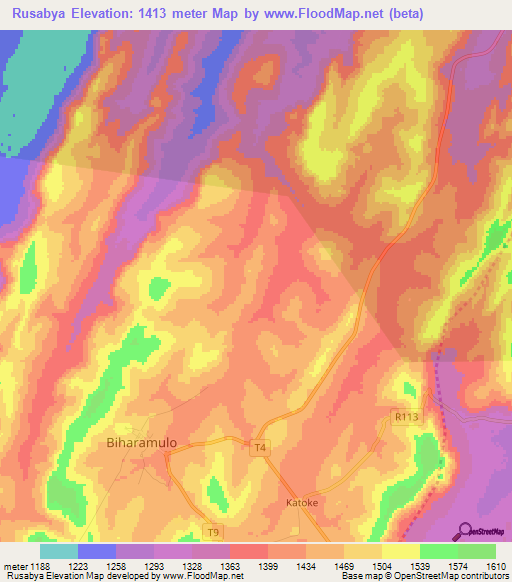 Rusabya,Tanzania Elevation Map