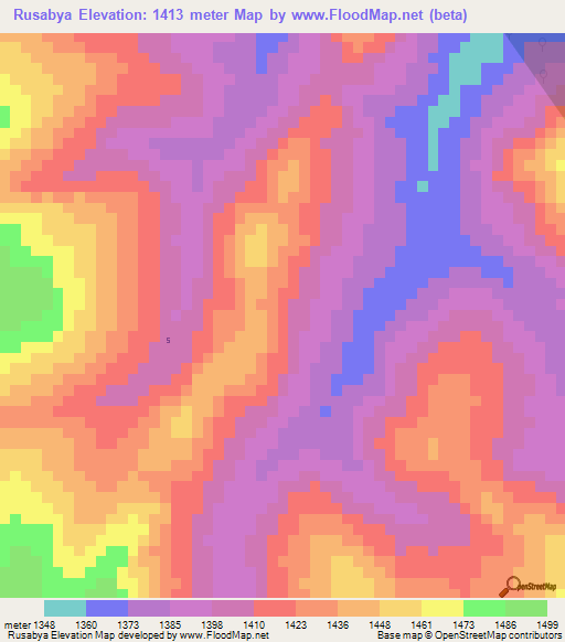 Rusabya,Tanzania Elevation Map