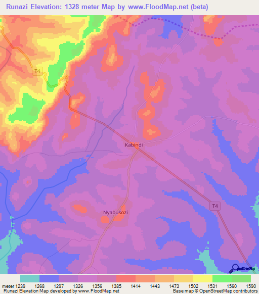 Runazi,Tanzania Elevation Map