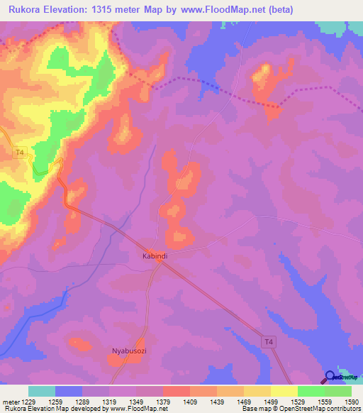 Rukora,Tanzania Elevation Map