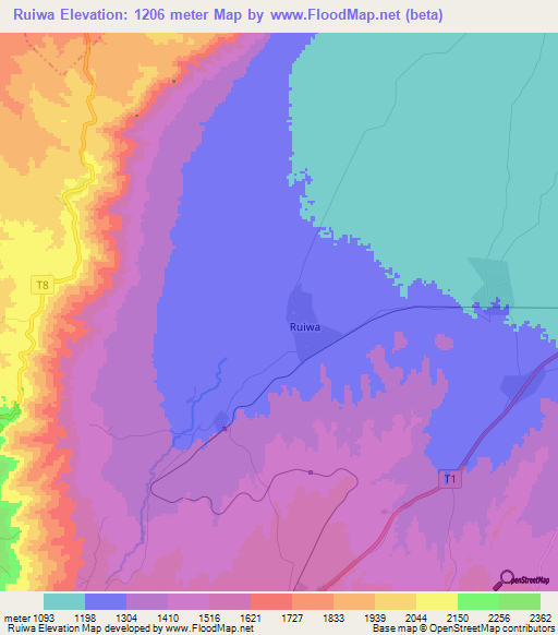 Ruiwa,Tanzania Elevation Map