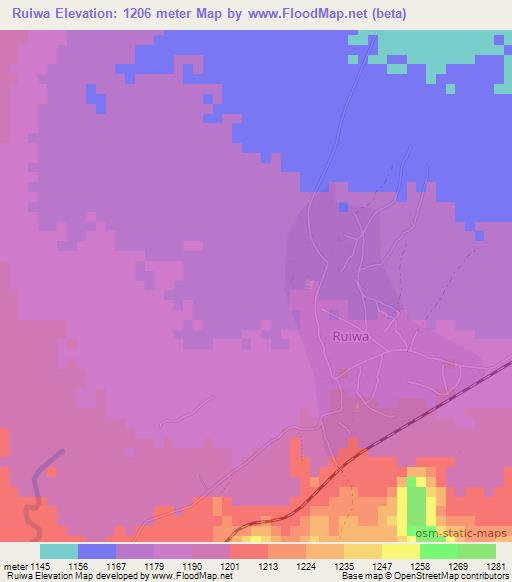 Ruiwa,Tanzania Elevation Map