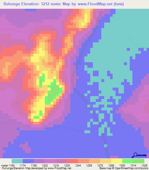 Ruhunga,Tanzania Elevation Map