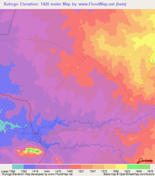 Ruhogo,Tanzania Elevation Map