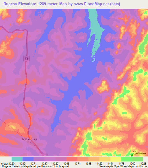 Rugesa,Tanzania Elevation Map