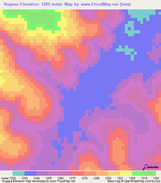 Rugesa,Tanzania Elevation Map