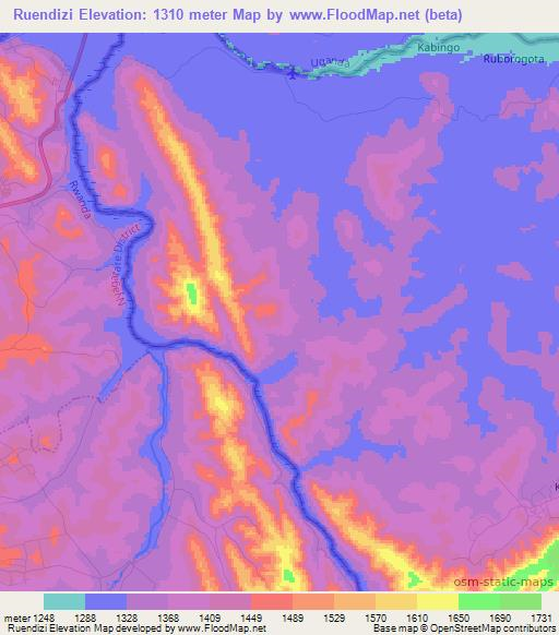 Ruendizi,Tanzania Elevation Map