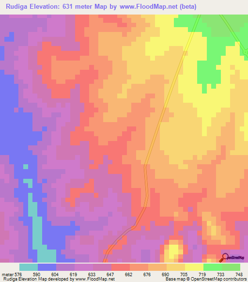 Rudiga,Tanzania Elevation Map