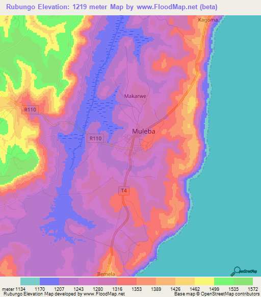 Rubungo,Tanzania Elevation Map