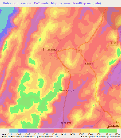 Rubondo,Tanzania Elevation Map