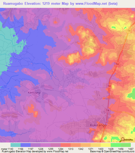 Ruamugabo,Tanzania Elevation Map