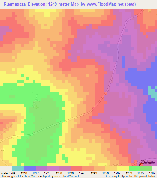 Ruamagaza,Tanzania Elevation Map