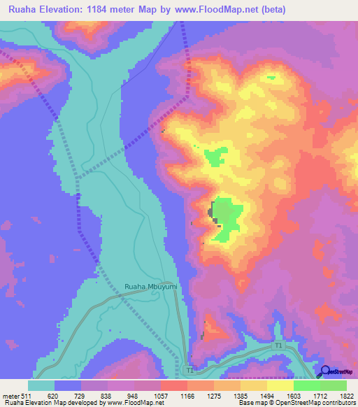 Ruaha,Tanzania Elevation Map