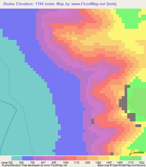 Ruaha,Tanzania Elevation Map