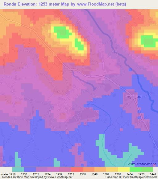 Ronda,Tanzania Elevation Map