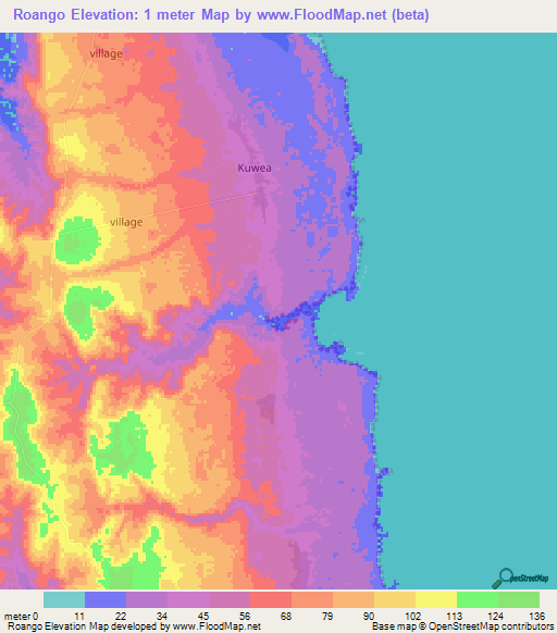 Roango,Tanzania Elevation Map