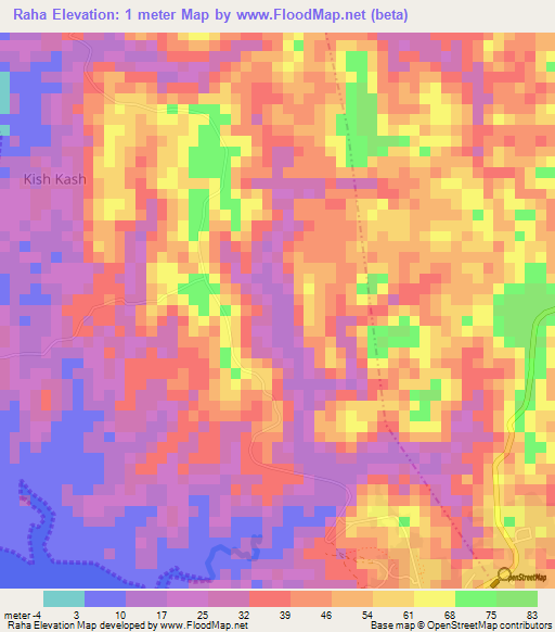 Raha,Tanzania Elevation Map