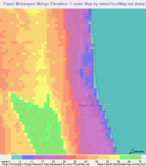 Pwani Mchangani Mdogo,Tanzania Elevation Map