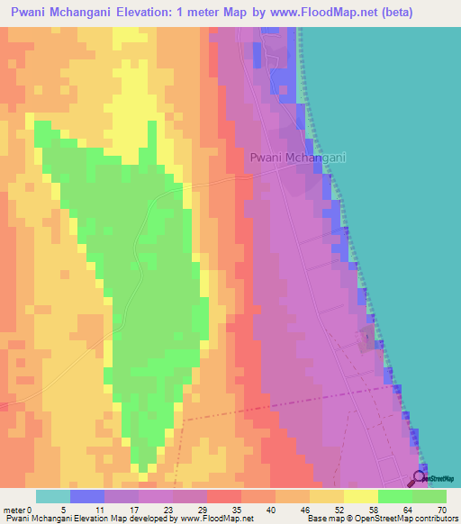 Pwani Mchangani,Tanzania Elevation Map