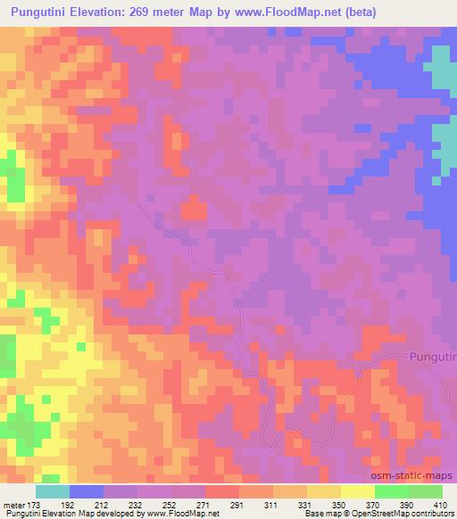 Pungutini,Tanzania Elevation Map