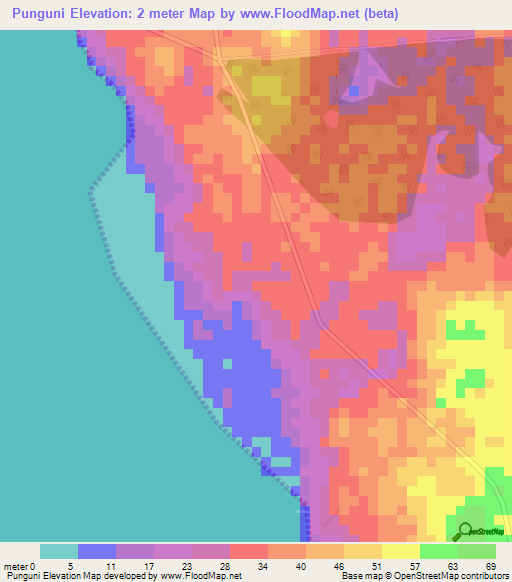 Punguni,Tanzania Elevation Map