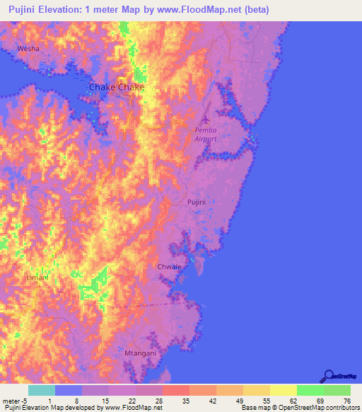 Pujini,Tanzania Elevation Map