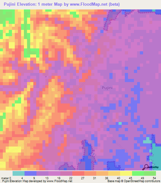 Pujini,Tanzania Elevation Map