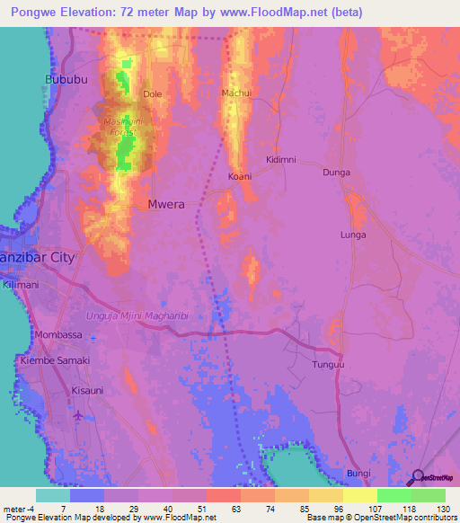 Pongwe,Tanzania Elevation Map