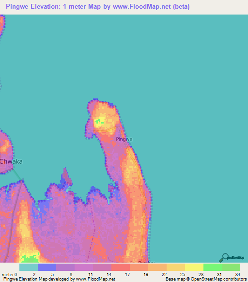 Pingwe,Tanzania Elevation Map