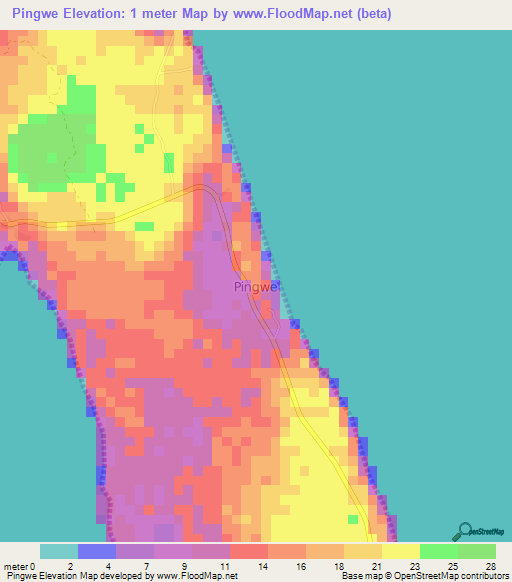 Pingwe,Tanzania Elevation Map