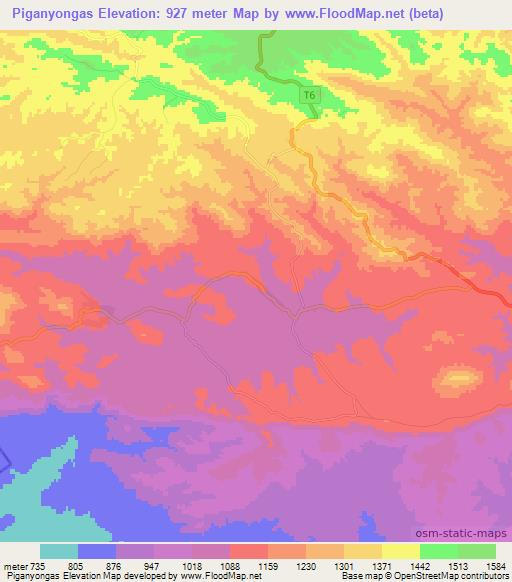 Piganyongas,Tanzania Elevation Map