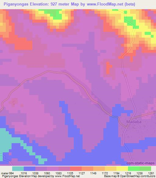 Piganyongas,Tanzania Elevation Map