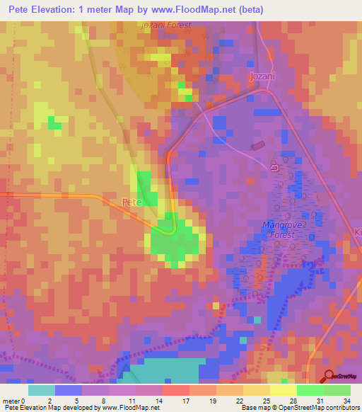 Pete,Tanzania Elevation Map