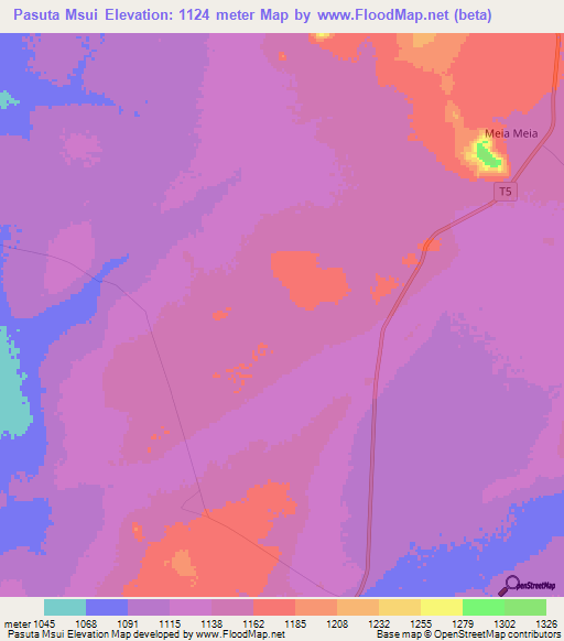 Pasuta Msui,Tanzania Elevation Map