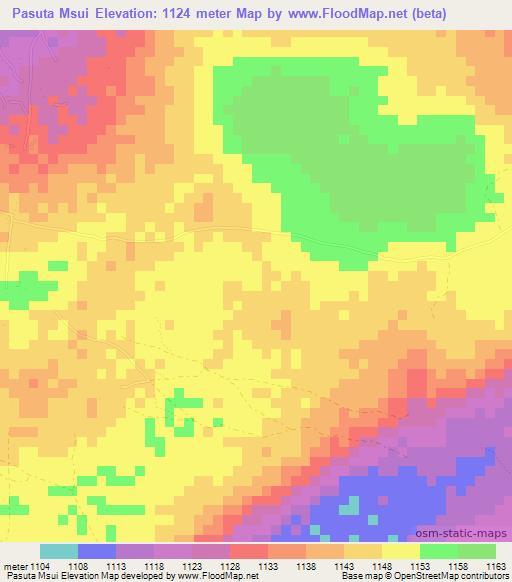 Pasuta Msui,Tanzania Elevation Map