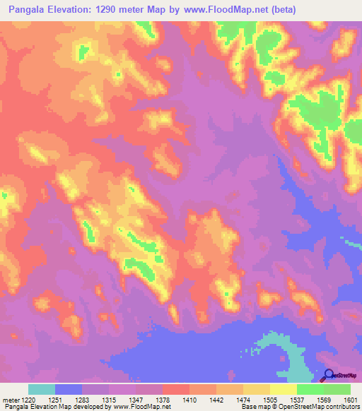 Pangala,Tanzania Elevation Map