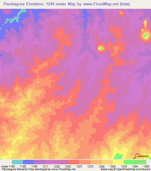 Pambagora,Tanzania Elevation Map