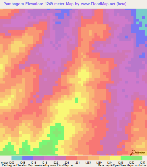 Pambagora,Tanzania Elevation Map